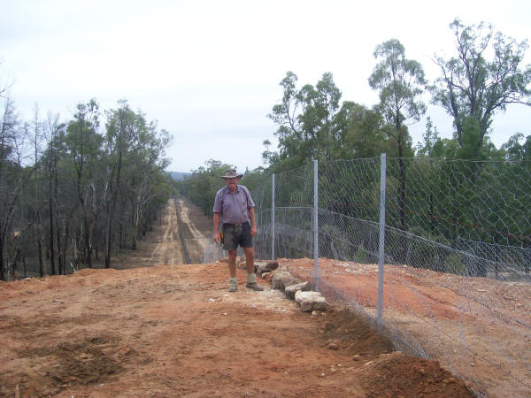 picture of maintenance person standing next to the rabbit proof fence